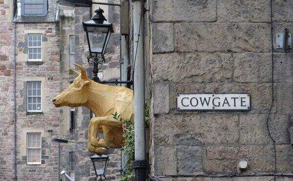 Cowgate Crawl for Students, Edinburgh