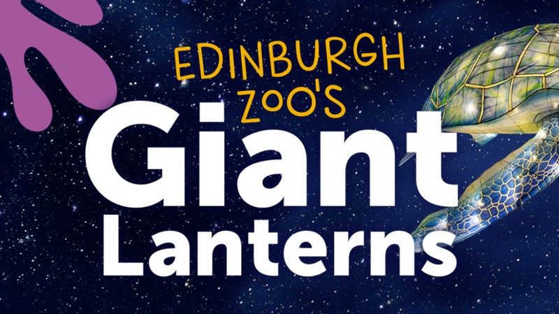 Giants Lanterns Edinburgh Zoo