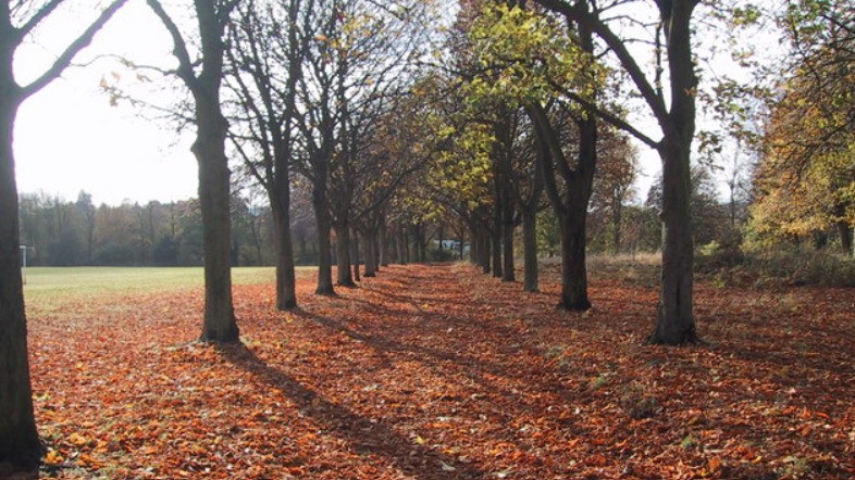 Meadows Edinburgh in Autumn