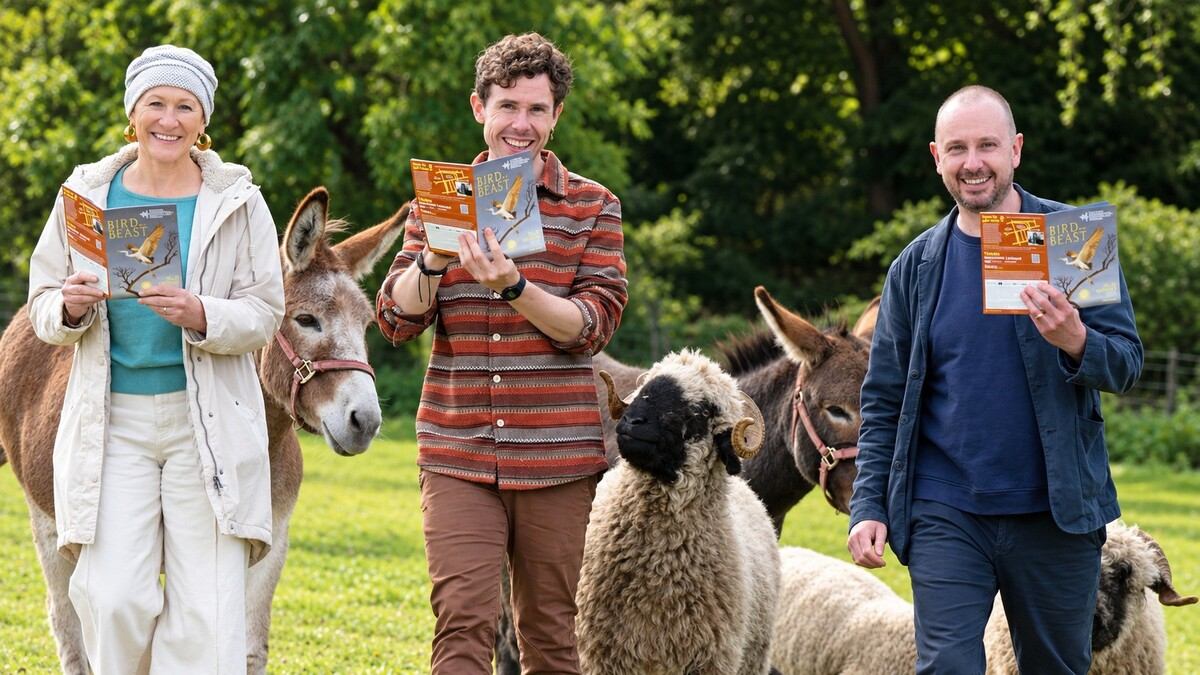 Storytellers at the Scottish International Storytelling Festival 2026 programme launch with donkeys and sheep